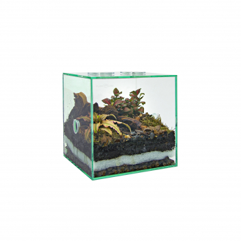 PLANTCUBE - Vivarium 20x20x20 Biom Bundle